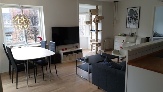 Værelse Roomie søges til stor lys lejlighed i centrum af Aalborg