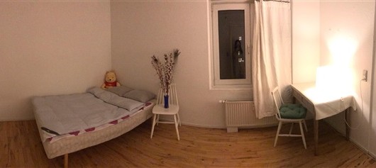 Værelse Seeking a female roommate for a big bright room in central Cph