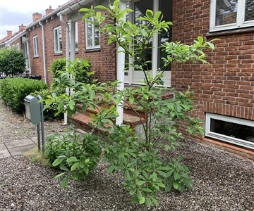 Hus/villa Arne Jacobsen rækkehus (188 etagemeter)