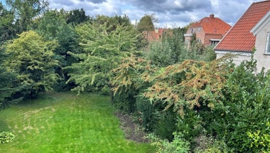 Værelse Hyggeligt værelse på Frederiksberg med masser lys og med udsigt over haven