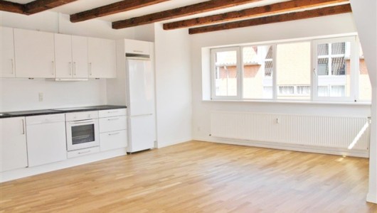 Lejlighed Rummelig og Moderne Penthouselejlighed