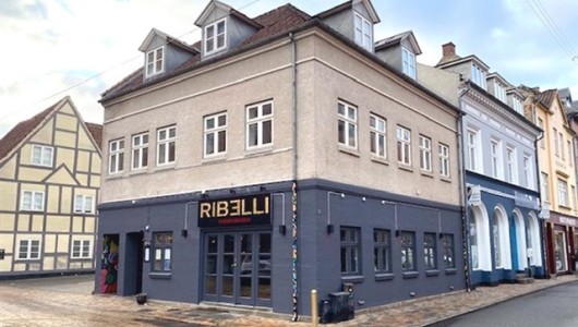 Lejlighed Skøn lejlighed i 2 plan, midt i hjertet af Odense.