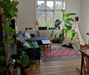 Værelse Charmerende 3-værelses lejlighed i roligt kvarter på Nørrebro
