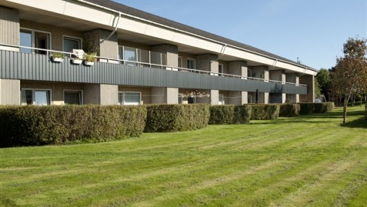 Lejlighed 1 værelses lejlighed på 55 m2 Lejlighed 1 værelses lejlighed på 55 m2