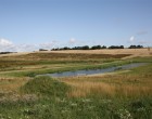 Hus/villa 75 m2 hus/villa. Husdyr er tilladt