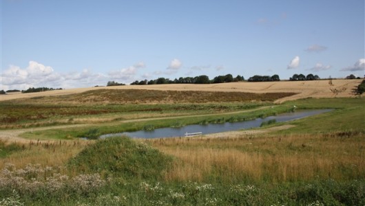 Hus/villa 75 m2 hus/villa. Husdyr er tilladt