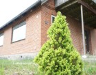 Hus/villa Centralt beliggende hus i Frøstrup med ugeneret have