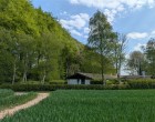 Hus/villa Funkishus med smuk have ved Søholm Gods