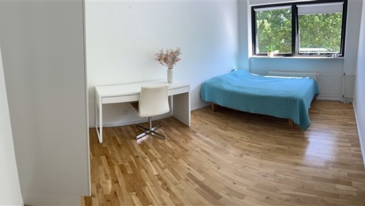 Delebolig Lyst og godt værelse i Hørsholm