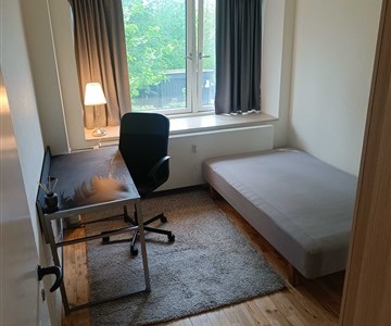 Lejlighed Room Available
