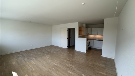 Lejlighed Stor og lys lejlighed tæt på Ikast storcenter