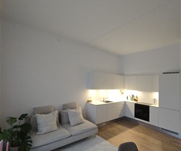 Lejlighed Apartment for rent in ørestad