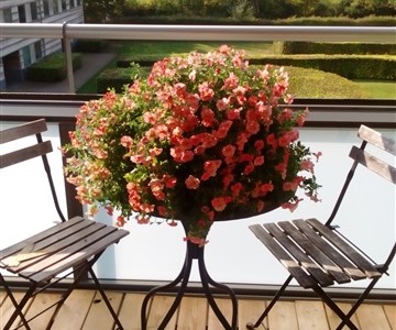 Byttebolig Fantastisk udsigt, skov og strand