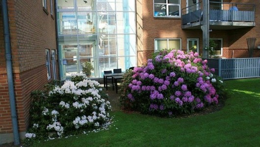 Lejlighed Handicapvenlig lejlighed på 71 m2