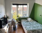 Værelse Nice room 14m² in NV full surrounded by green areas