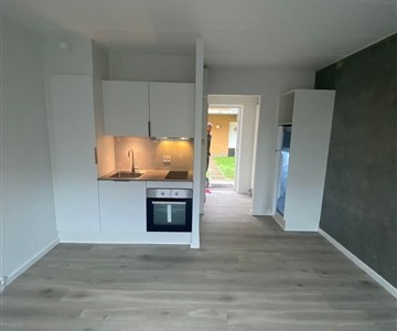 Lejlighed Nyrenoveret 1-værelses i centrum Lejlighed Nyrenoveret 1-værelses i centrum