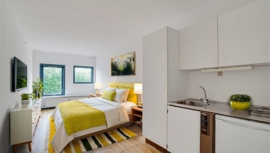 Lejlighed Overskuelig 1 værelses lejlighed