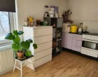 Værelse Seeking a roommate for a big bright room in central Cph
