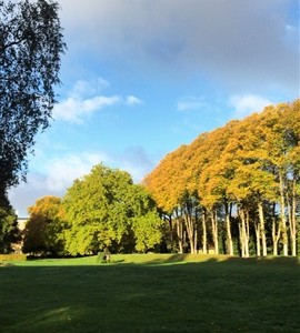 Værelse Værelse udlejes i København SV