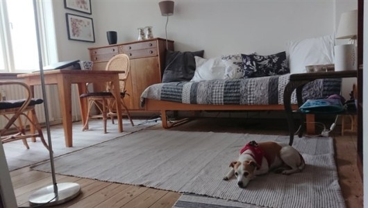 Værelse Furnished room in quiet and safe neighborhood