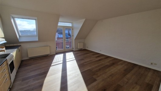 Lejlighed Kæledyr tilladt i nyrenoveret lejlighed Lejlighed Kæledyr tilladt i nyrenoveret lejlighed