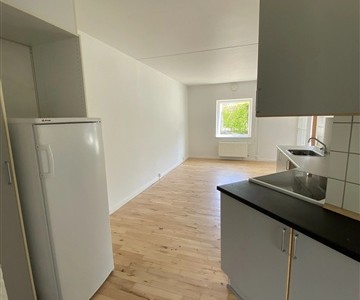 Lejlighed Stor og rummelig 4-værelses lejlighed i grønne omgivelser Lejlighed Stor og rummelig 4-værelses lejlighed i grønne omgivelser