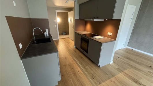 Lejlighed UN17 Søen - 1 vær. lejebolig med  østvendt altan med kig til Fælledens smukke natur – god studiebolig