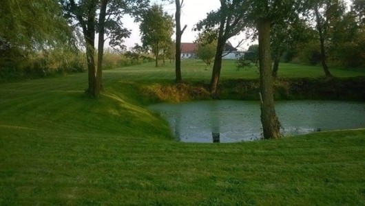 Hus/villa Nedlagt landbrug