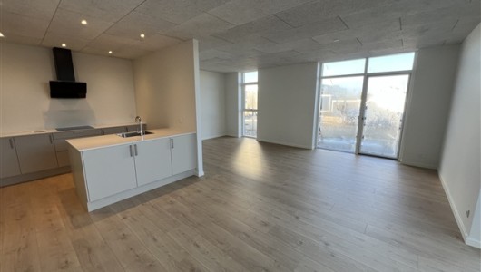 Hus/villa Nybygget, enerGivenlige og moderne rækkehuse til leje på johan den mildes vej