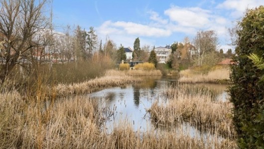 Værelse Værelse i grønne omgivelser ved sø - tæt på DTU