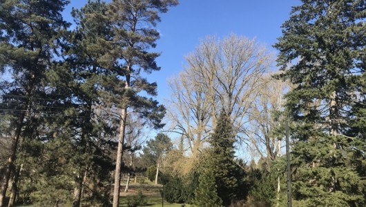 Lejlighed ✨ 2 smukke møblerede værelser: ca. 50 kvm i en 85 kvm lejlighed i den hyggelige del af Københavns Nordvest