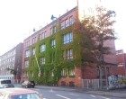 Lejlighed 1. værelses lejemål på Nørrebro
