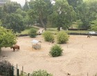 Lejlighed 4V med 2 altaner og unik beliggenhed i Carlsberg Byen