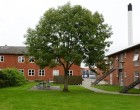 Lejlighed 40 m2 lejlighed i Herning