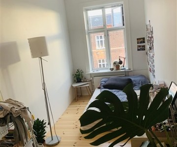 Værelse Fedt værelse centralt på Frederiksberg Værelse Fedt værelse centralt på Frederiksberg