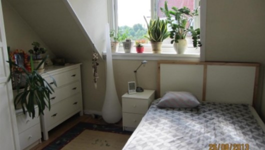 Værelse Lejlighed til leje i København SV