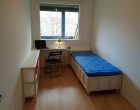 Værelse one room for renting