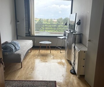 Værelse Are you my new roommate? Værelse Are you my new roommate?