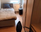 Værelse Hyggeligt værelse til leje!