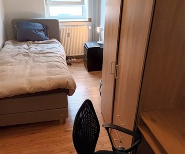 Værelse Hyggeligt værelse til leje! Værelse Hyggeligt værelse til leje!